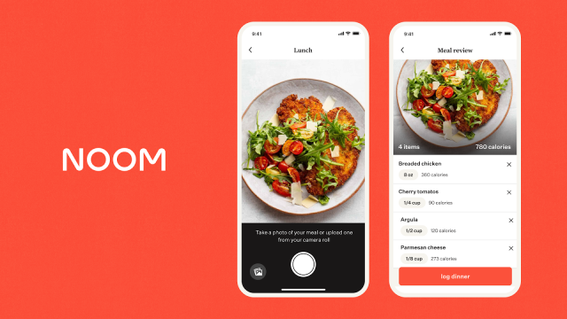 Real User Experiences with Noom